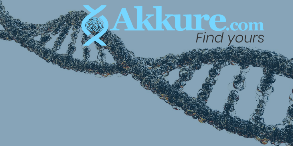 Akkure 2